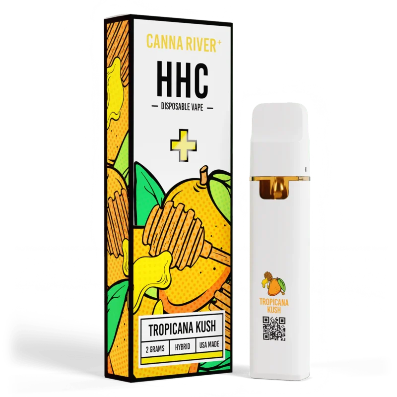 Norway cannabis cafe